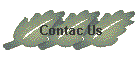 Contac Us